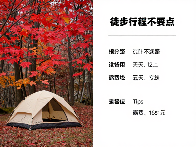 帐篷露营安全要点与环境适应指南