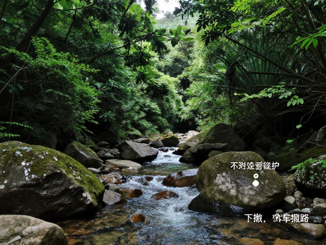 交通与拼车攻略