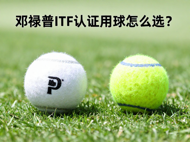 短绒毛毡与训练球的核心差异解析