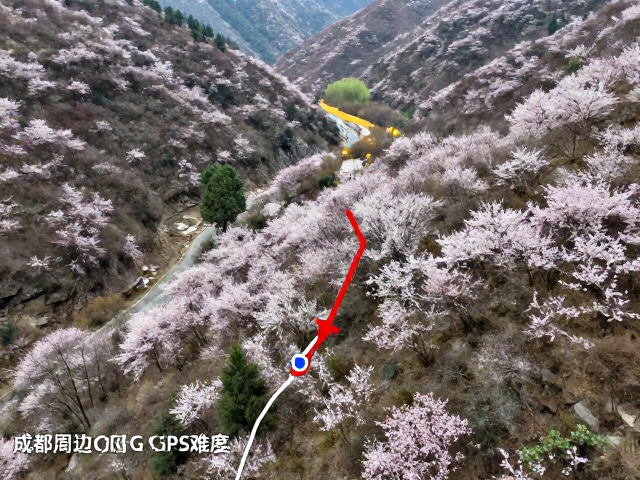 天气监测与应急处理