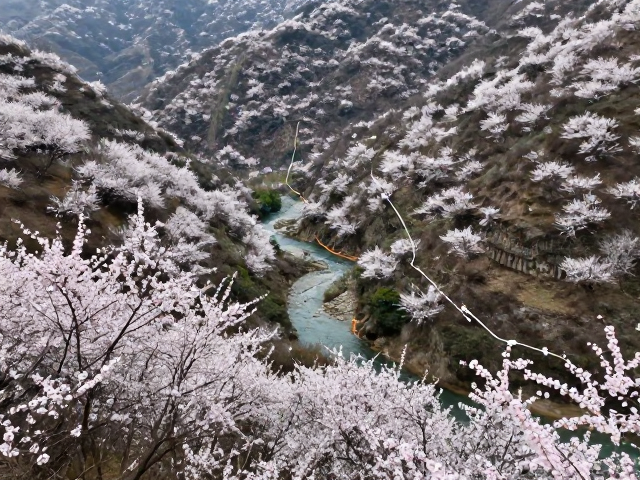 成都周边徒步,春季花海河谷穿越攻略,含GPS轨迹与分段难度解析