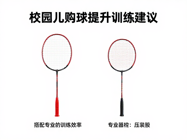 器材匹配对训练效率的具体影响机制