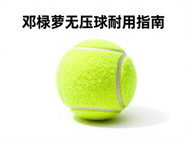 邓禄普无压球的结构特性解析