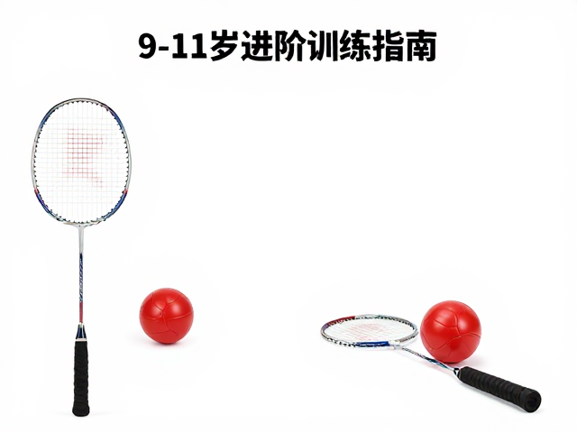 红球训练体系的科学原理与实战价值