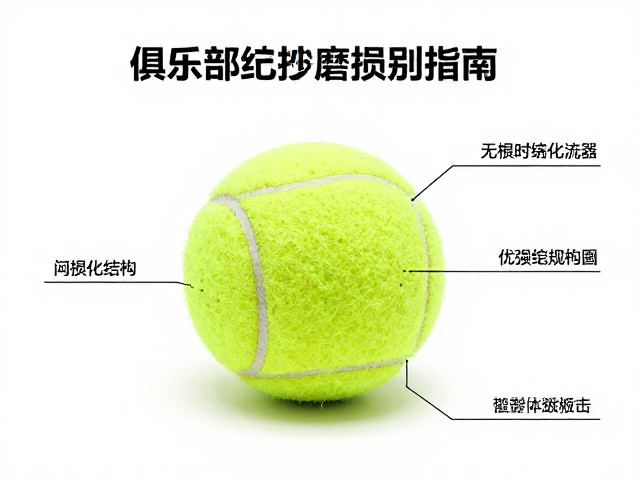 核心结构解析:Babolat无压实心技术的物理特性