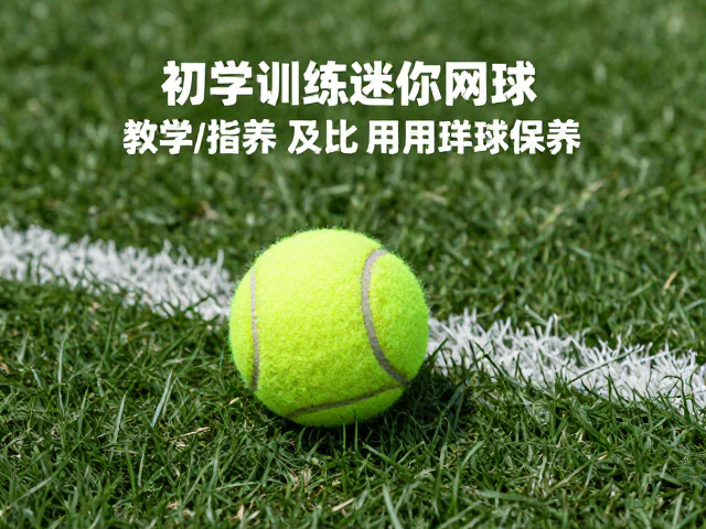 比赛用球的日常清洁与存放规范