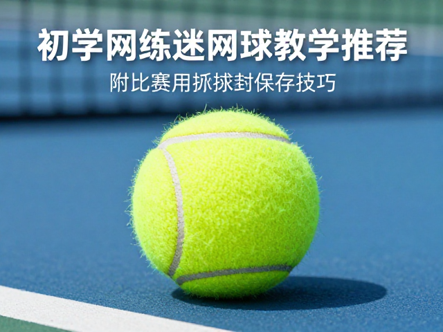 训练场景下的性能表现与适用性