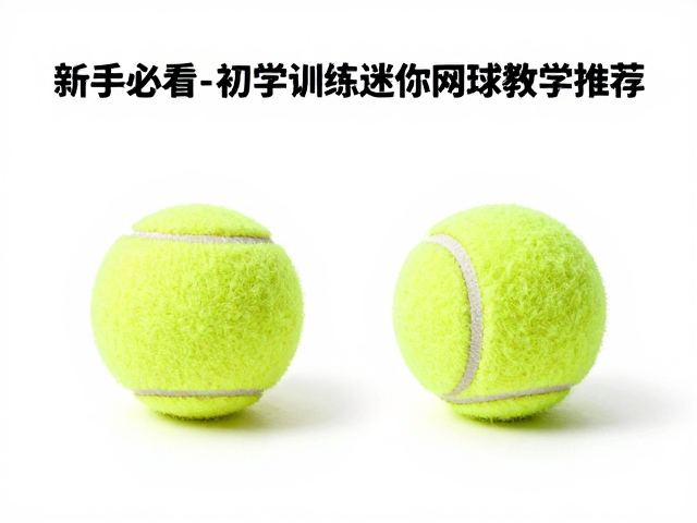 比赛用球与训练球的管理与保存