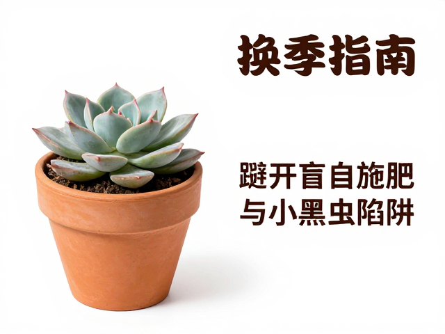 施肥陷阱与生长周期的精准调控