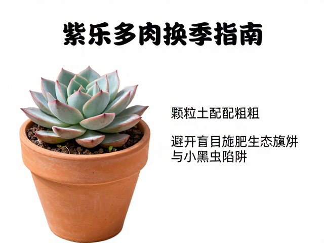 小黑飞防治与土壤生态管理