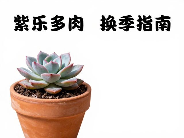 光照管理与温差驱动的上色机制