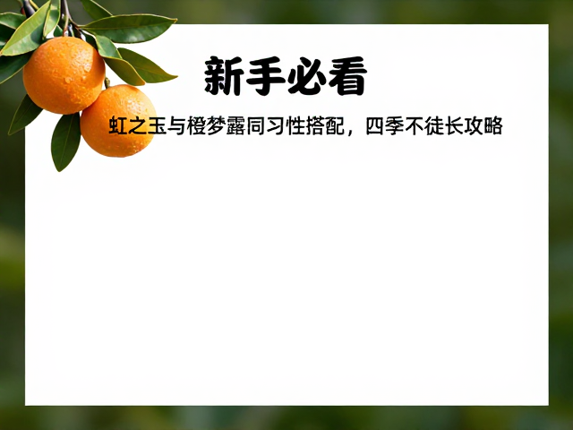 光照与温差的核心调控