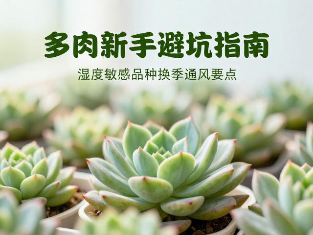 通风系统搭建与环境气流管理