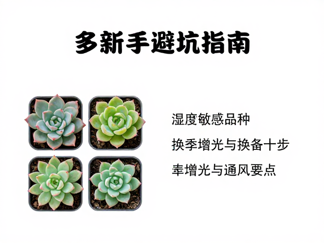 季节性监测与应急干预措施