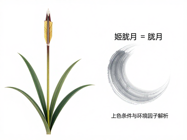上色条件与环境因子解析