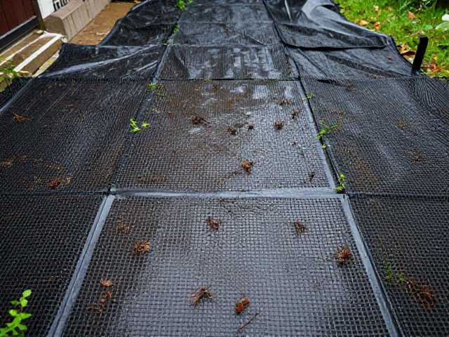 阴雨天延后浇水？防漏网垫，铺面，避免潮湿环境烂根