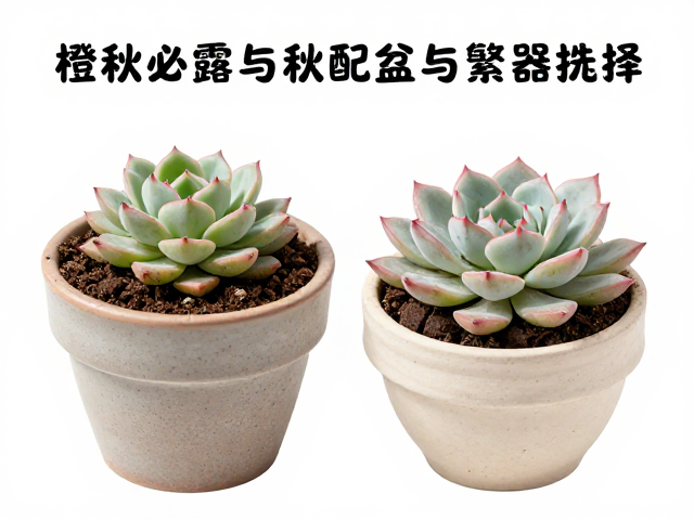 土壤配置与盆器选择