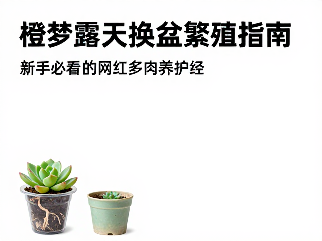 脱盆修根与上盆步骤