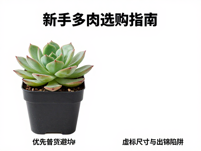 警惕虚标尺寸：实物与图片的视觉博弈