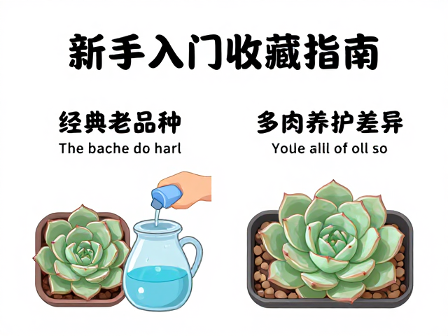 浇水策略与通风环境的协同作用