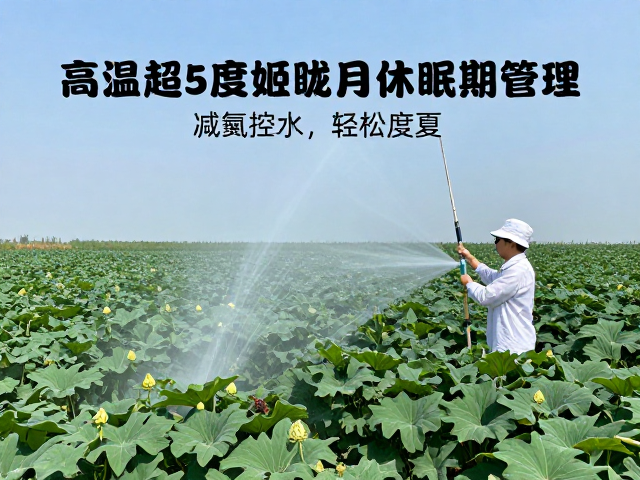 精准执行减氮控水策略