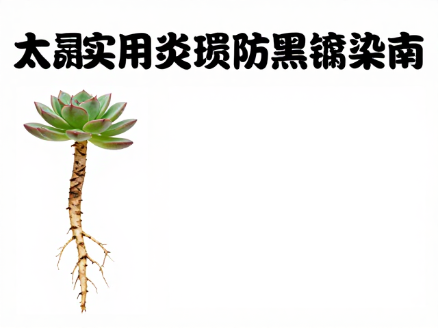 验根防黑腐指南