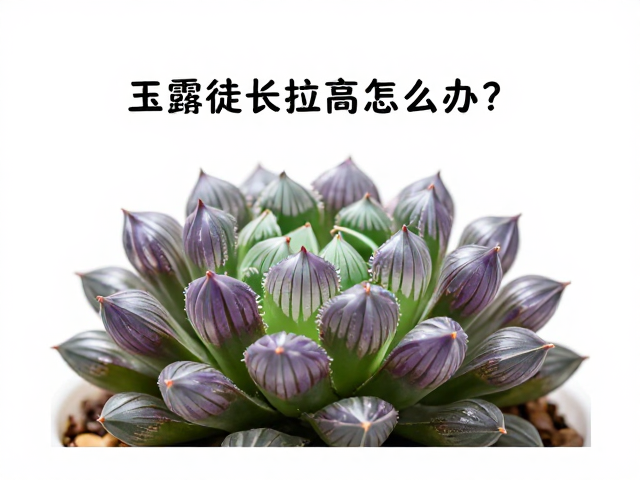 环境通风与温度控制细节