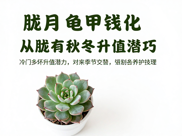 水分与温度调控:应对季节交替的风险管理