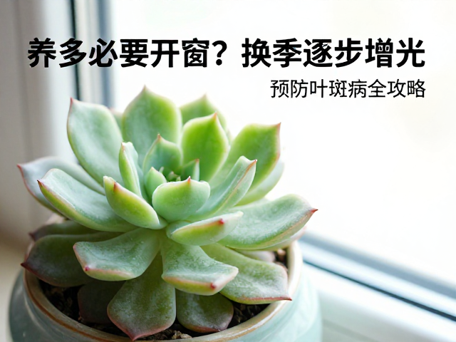 叶斑病的成因与早期识别