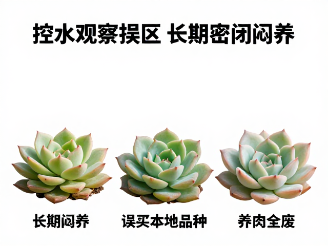 观察细节与日常管理的修正策略