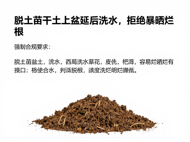 延后浇水的时间窗口与判断标准
