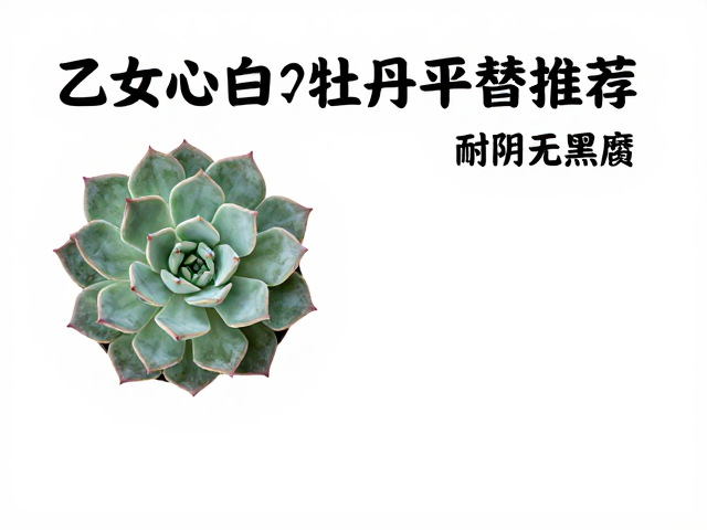 日常养护中的关键控制参数
