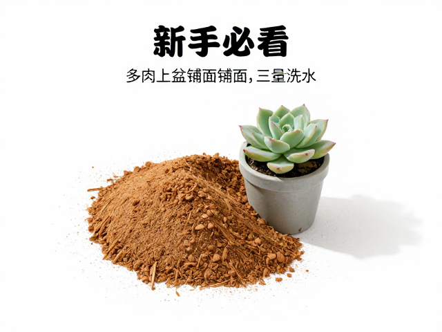 铺面材料的选择与铺设技巧