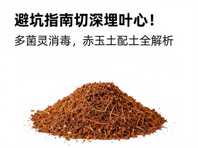 避坑指南，切勿深埋叶心！多菌灵消毒，赤玉土配土全解析