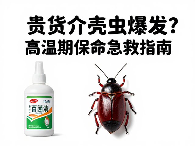 高温期保命的急救与环境管理