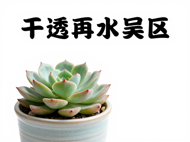 环境因素对服盆期的关键影响