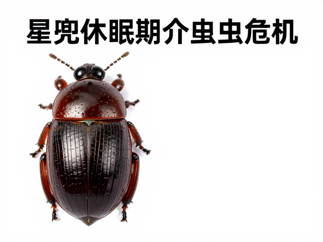 星兜休眠期介壳虫防治，保持通风防烂根指南