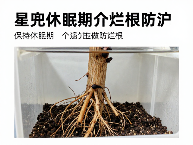 通风系统的科学构建与维护