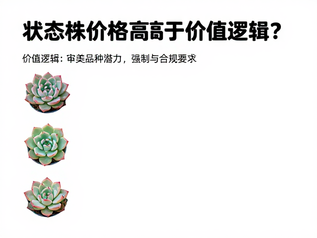 价值逻辑：审美需求与品种潜力
