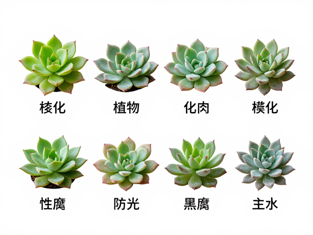 通用避坑与日常管理要点