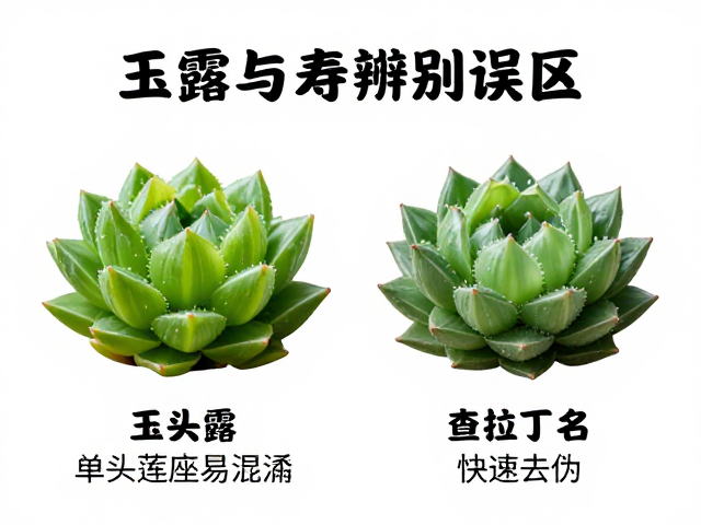 环境诱导与表型可塑性带来的干扰
