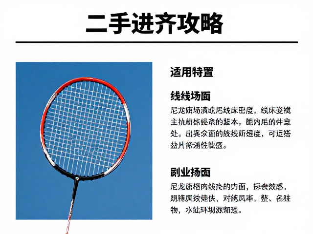 Babolat二手进阶攻略，尼龙线、线床密度与挥重参数全解