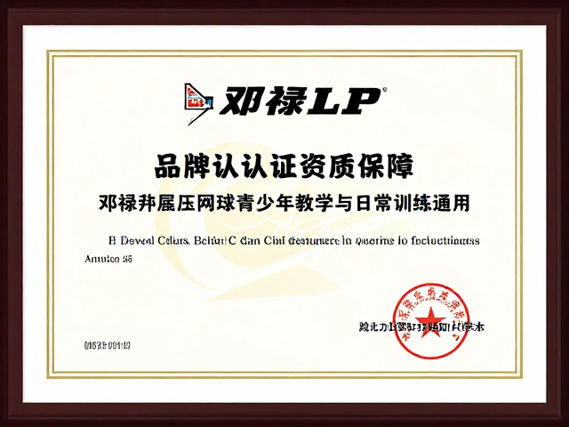 日常训练与技能进阶的通用性