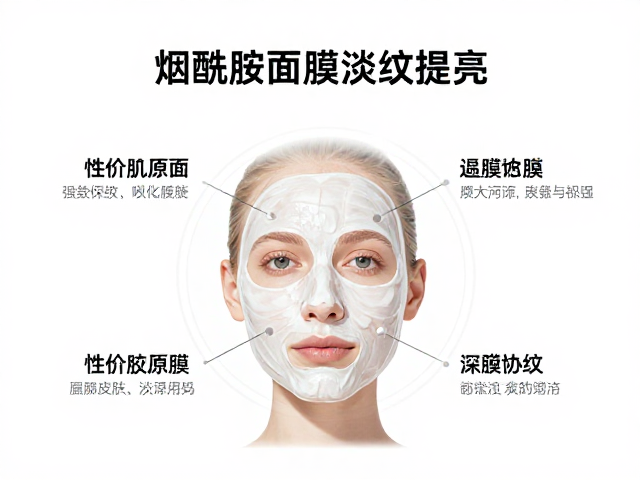 烟酰胺在淡纹提亮中的多维作用机制