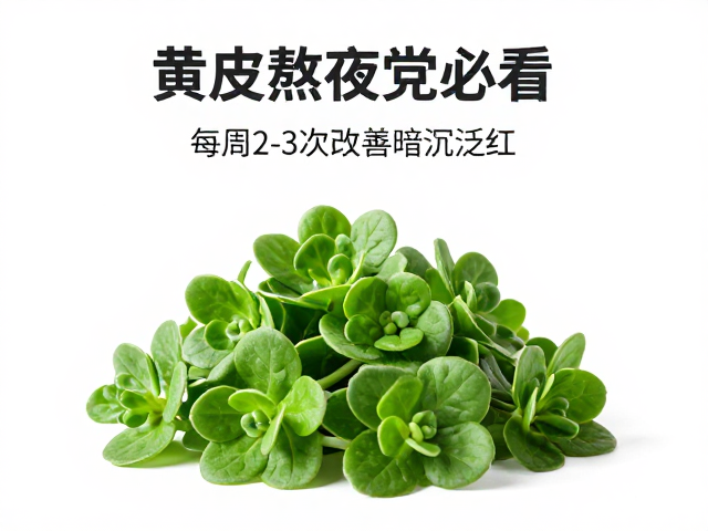 科学使用频率：每周2-3次的黄金窗口期