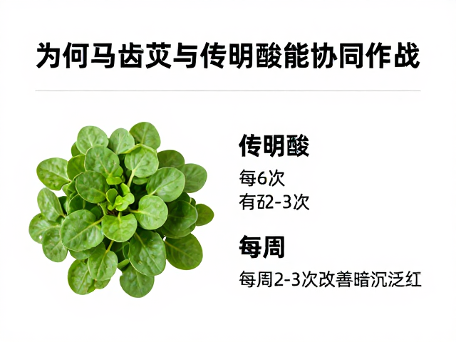 黄皮熬夜党必看,马齿苋,传明酸,每周2-3次改善暗沉泛红