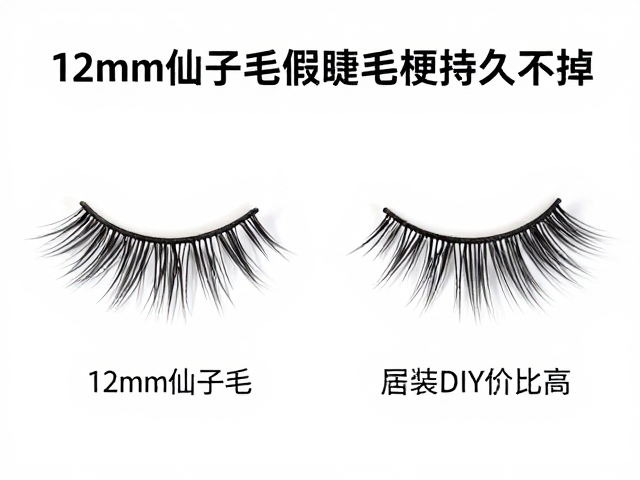 性价比评估与长期使用考量