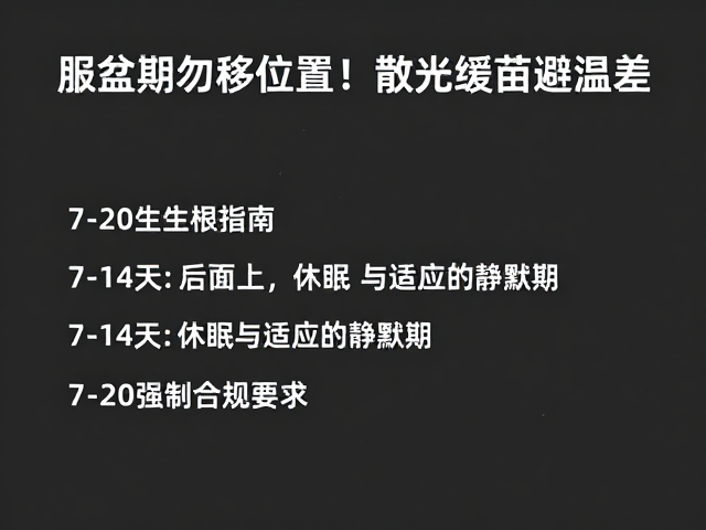 7-14天：休眠与适应的静默期