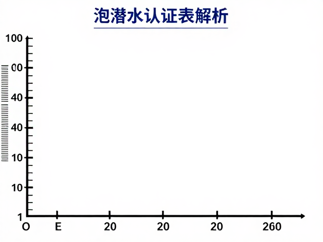 饱和潜水认证表解析，大号时标与100米防水性能深度评测