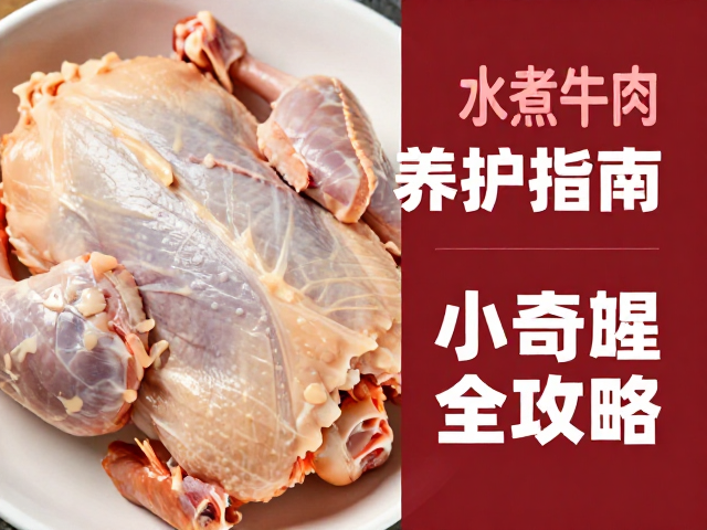 鸡肉与牛肉的冷链接收与温控标准